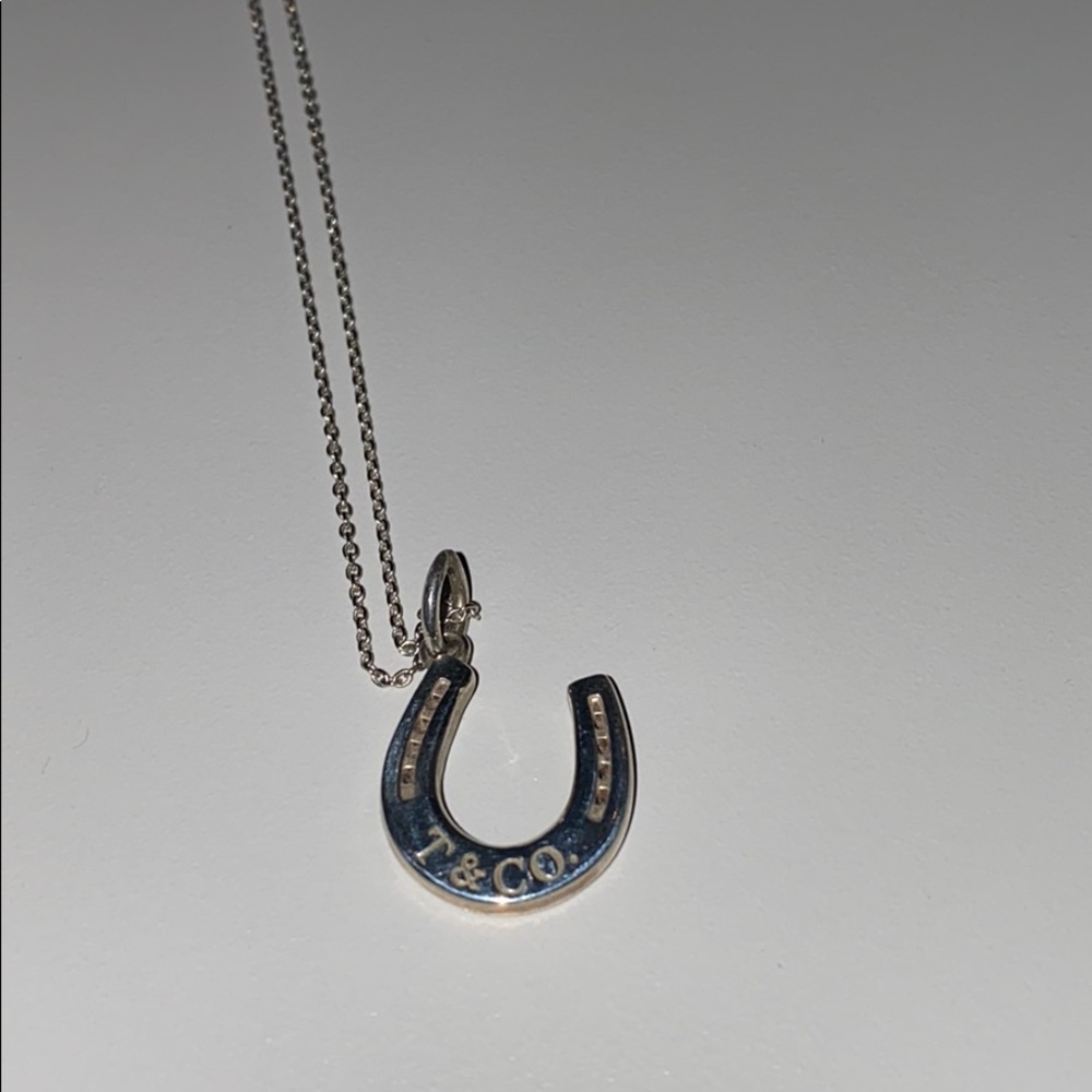 Authentic Tiffany and Co 16” horseshoe necklace